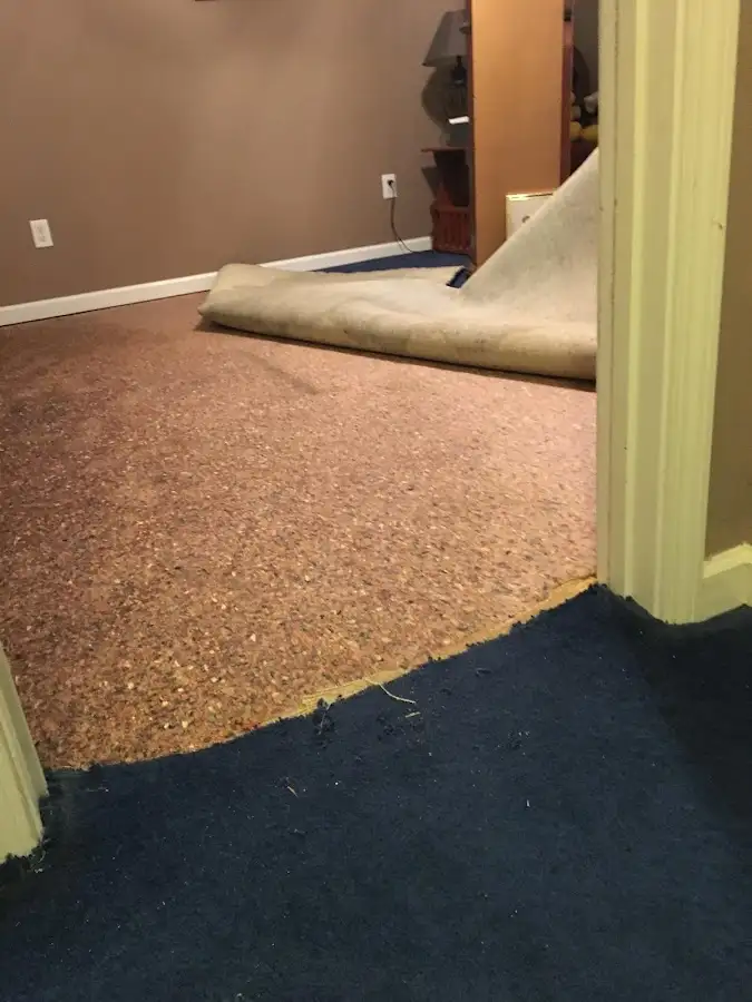 Carpet pad removal revealing water damage during Drying & Dehumidification in Arvin